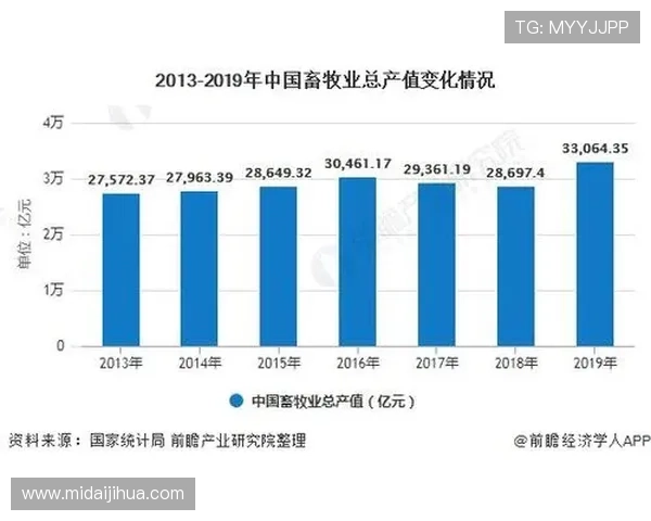 梅斯俱乐部的历史沿革与发展现状分析及未来发展趋势探讨 梅斯俱乐部的历史沿革与发展现状分析及未来发展趋势探讨
